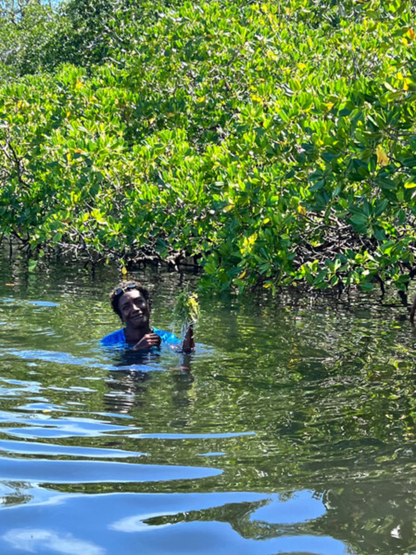 Elizabeth, a sea grape harvester