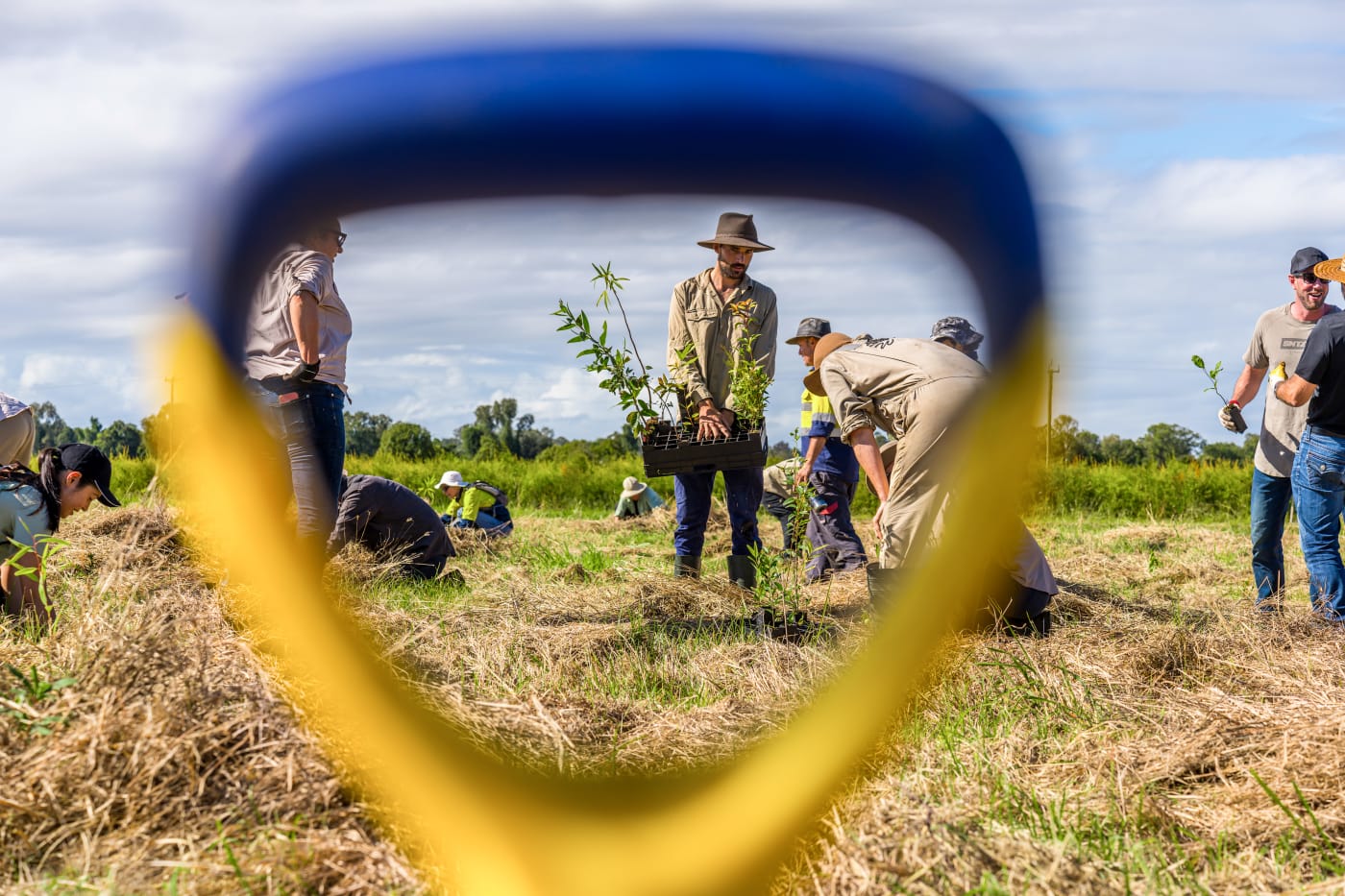 Volunteers, including from WWF's partners, Australia Post and HP Inc attend a tree planting activity held by Bangalow Koalas. 1,954 koala feed trees were planted.