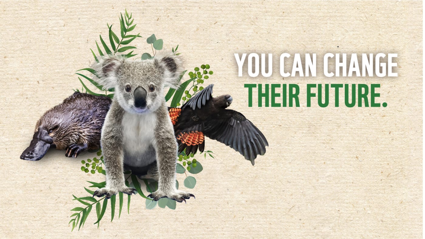Help save beautiful Australian animals from extinction.