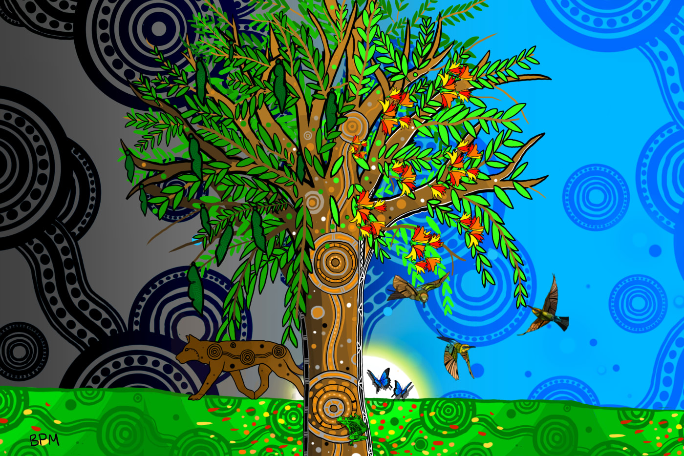 The Black Bean Tree by Jirrbal artist Beau Pennefather Motlop