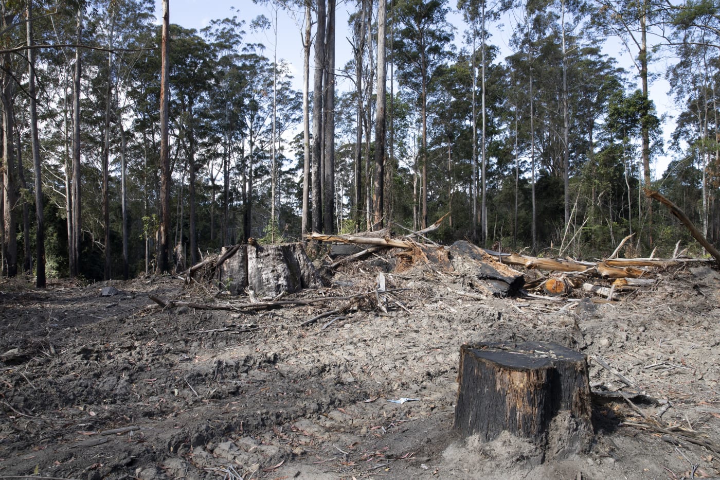 Deforested site in NSW