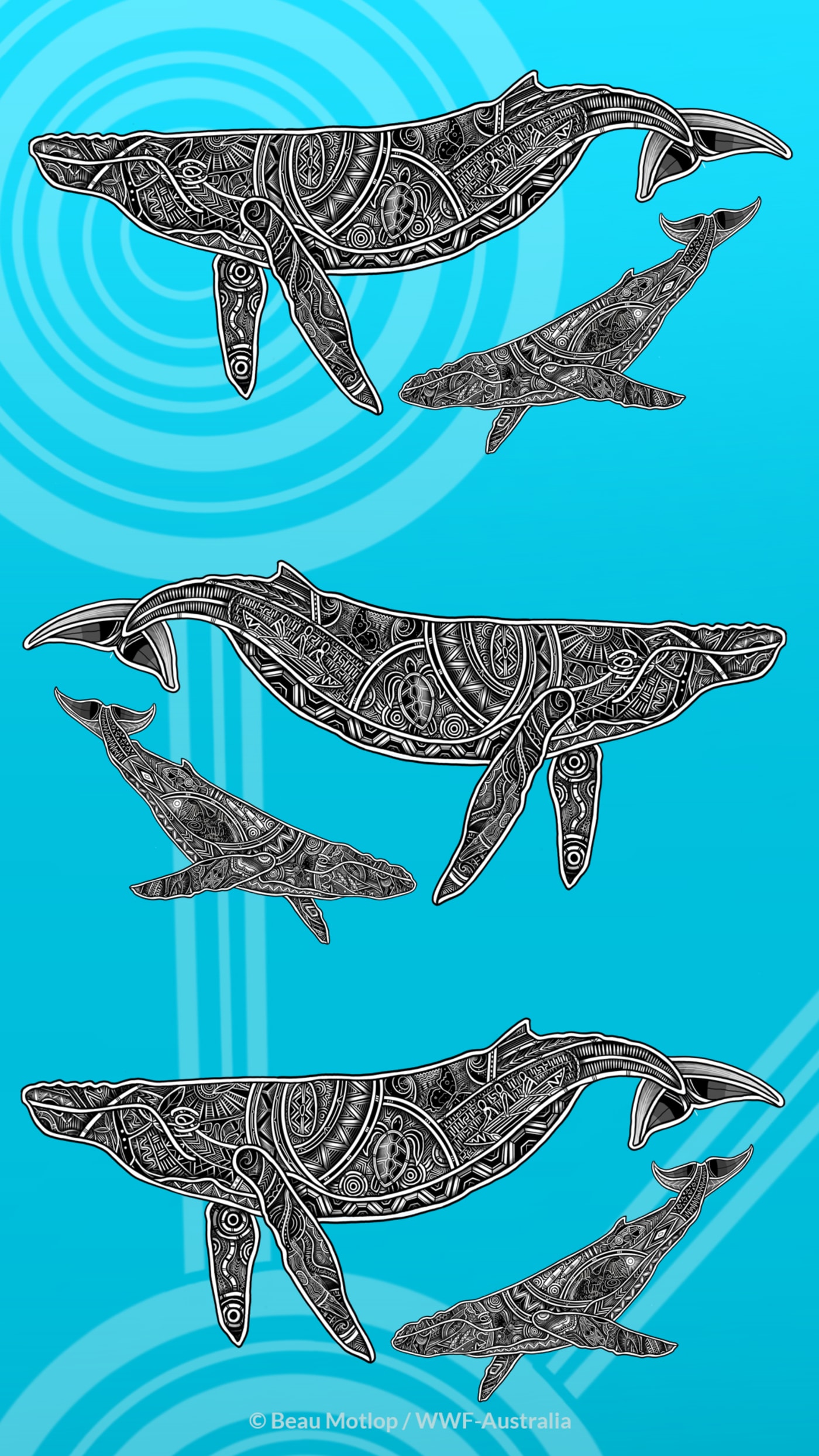 Indigenous Whale Mother and Calf Art Mobile (1080x1920)
