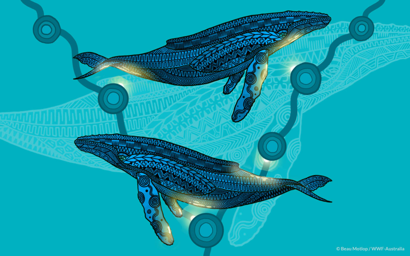 Indigenous Whale Art Desktop (2560x1600)