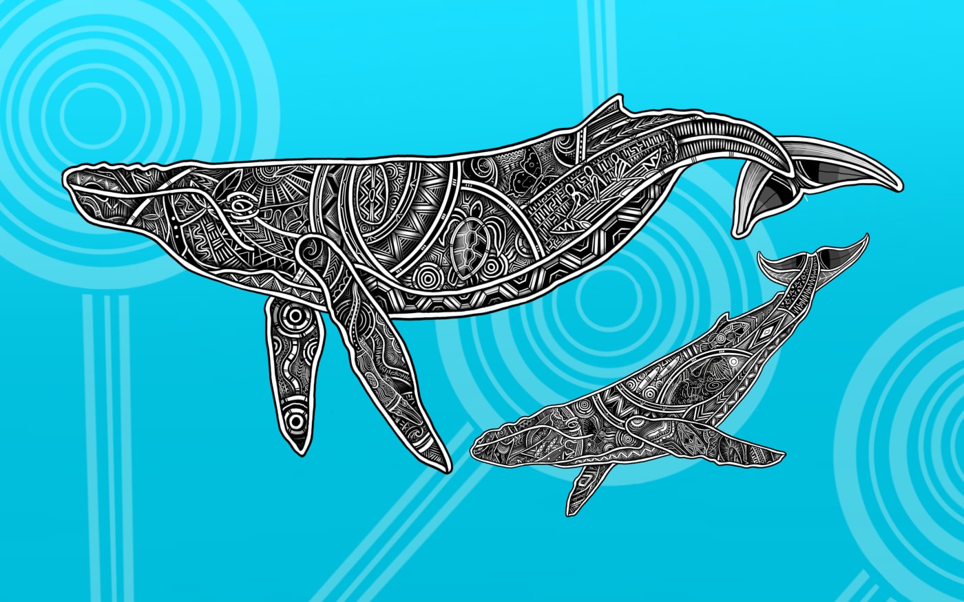 Indigenous humpback whale art (mother and calf)  from Jirrbal, Wagedoegam, Ngapuhi & Scottish artist Beau Pennefather-Motlop.