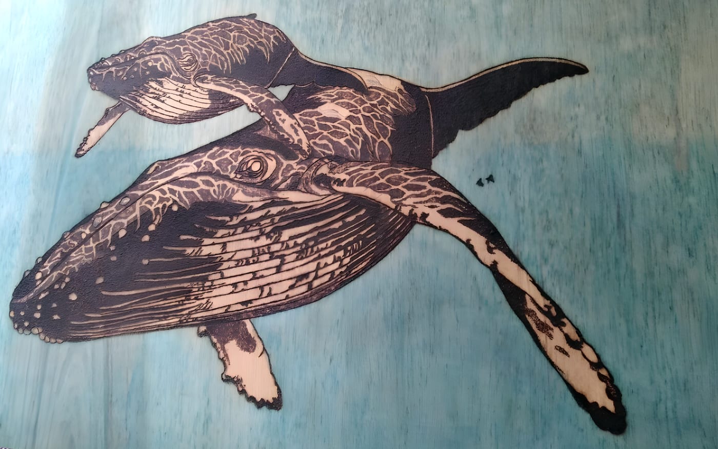 Whale art by Myangah Pirate, a Budawang artist from the Yuin Nation (Photo courtesy of Myangah Pirate)