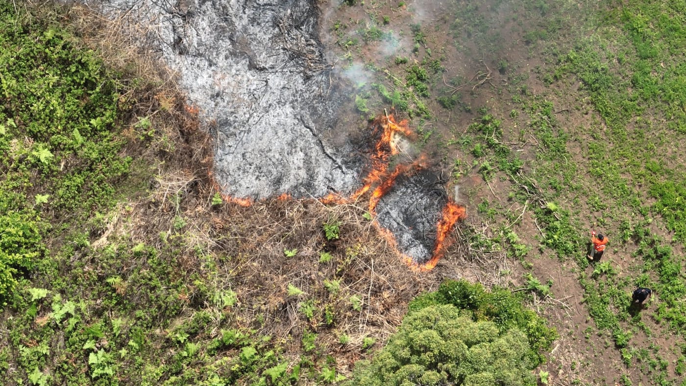 Aerial View of Cultural Burn Patterns on Githabul Country