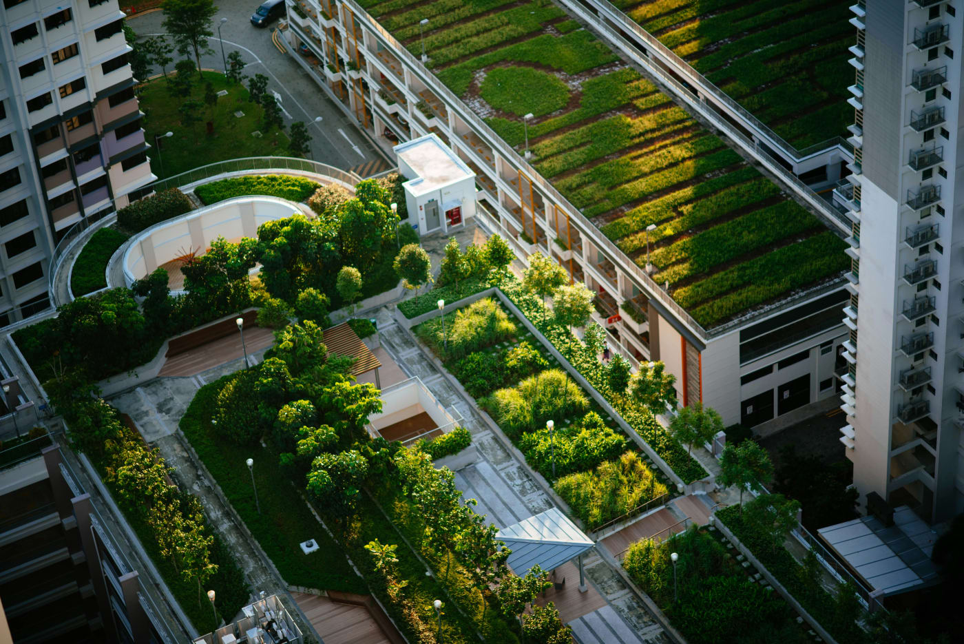 a city scene with trees integrated throughout the buildings.