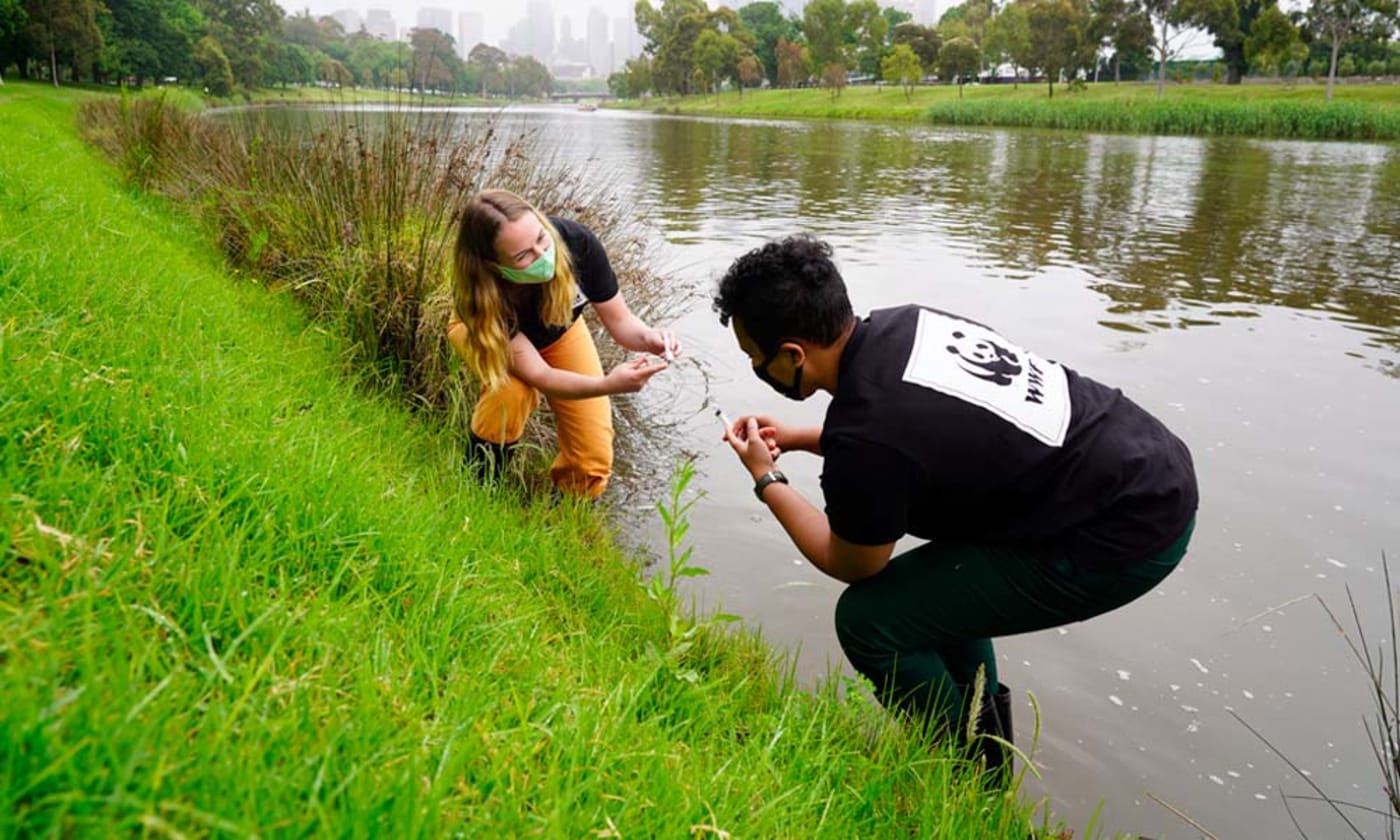 Pictured left to right: WWF-Australia's Karina Strange and Victoria Pilbeam collect Platypus eDNA samples from the Yarra River near Alexandra Park, Melbourne