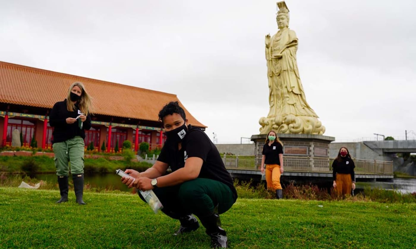 WWF-Australia's Melbourne Pandas collect Platypus eDNA samples from the Maribyrnong River near Heavenly Queen Temple, Footscray