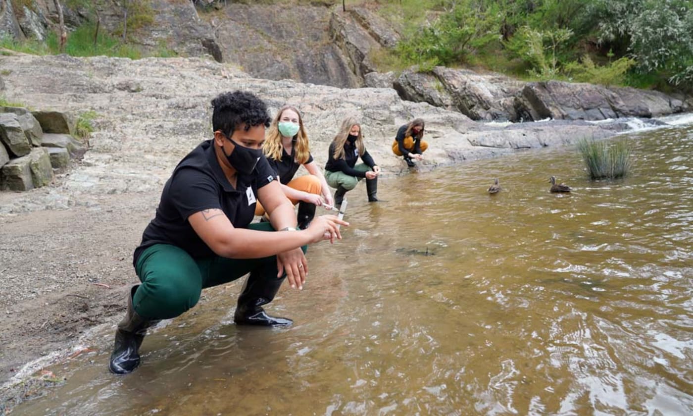 Pictured left to right: WWF-Australia's Melbourne Pandas Victoria Pilbeam, Karina Strange, Vanessa Calvert and Sophie Hueppauff encounter feathered friends while collecting Platypus eDNA samples from Pound Bend Tunnel in Warrandyte, Victoria