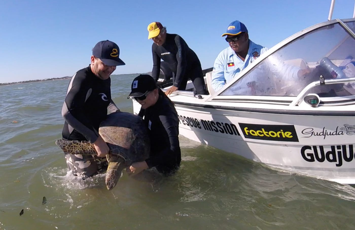 WWF supporters Chris and Allan helped release a turtle after it had been tagged