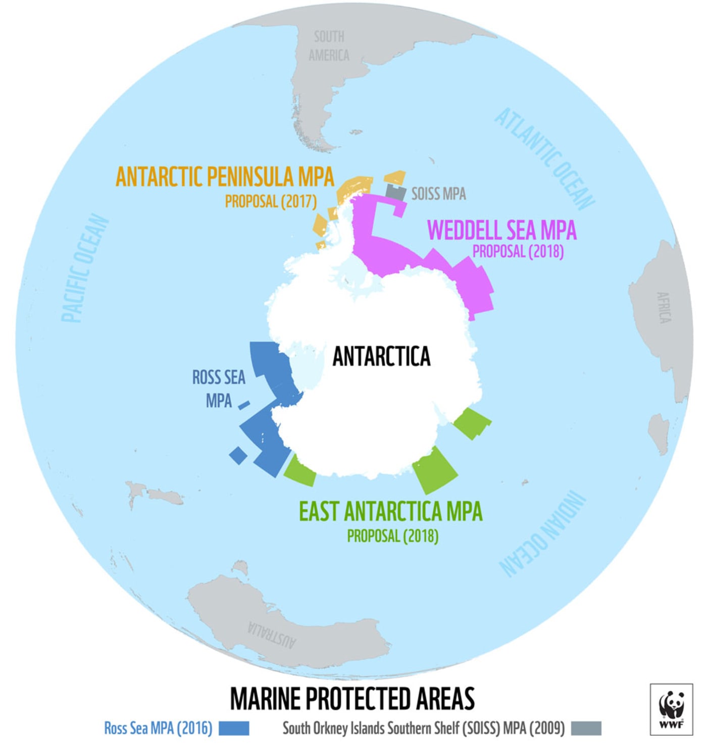 Antarctica map whale tracking