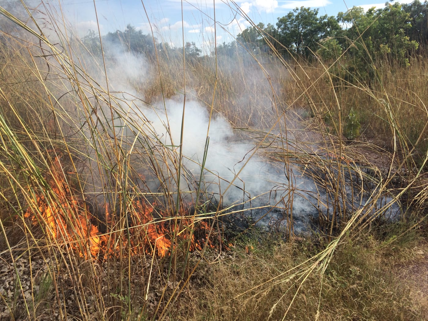 Fire management with the Balanggarra Rangers