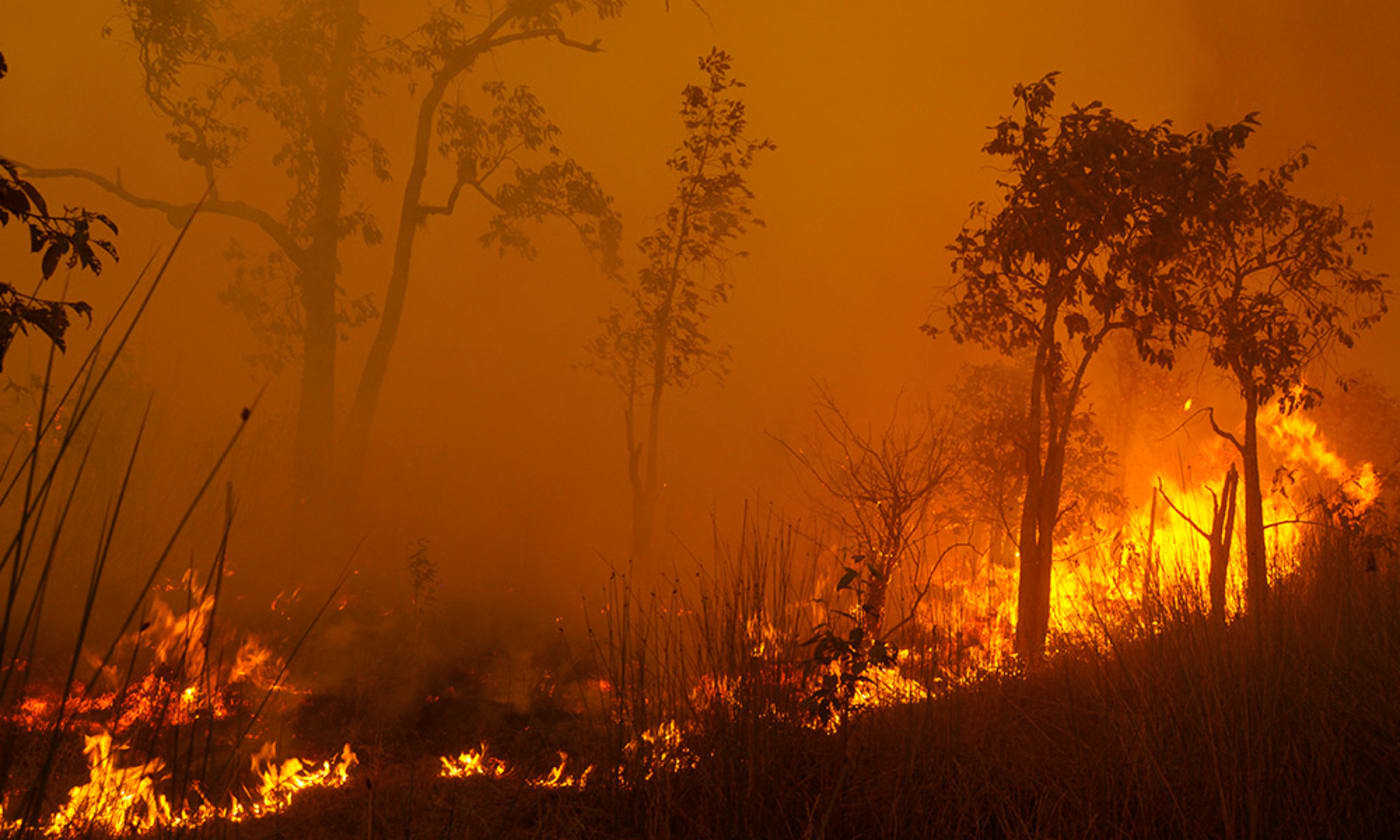 Bush fire, Borneo, Central Kalimantan, October 2015