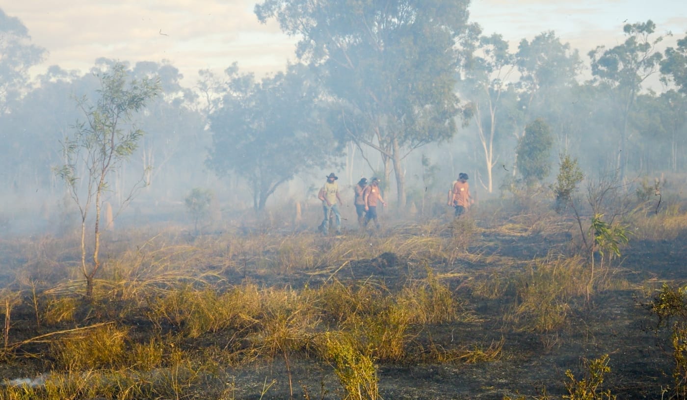 Cultural burn workshop attendees inspect the landscape immediately following a cultural burn on Jervoise Station
