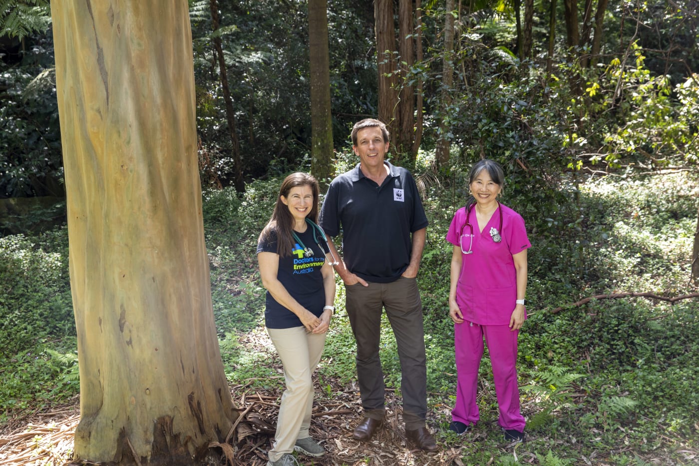 Dr Cybele Day (left) and Dr Kim Loo (right) from Doctors for the Environment Australia (DEA) with Dr Stuart Blanch from WWF-Australia among the trees in Cooper Park, Bellevue Hill. DEA has joined forces with WWF to highlight the health benefits of trees.