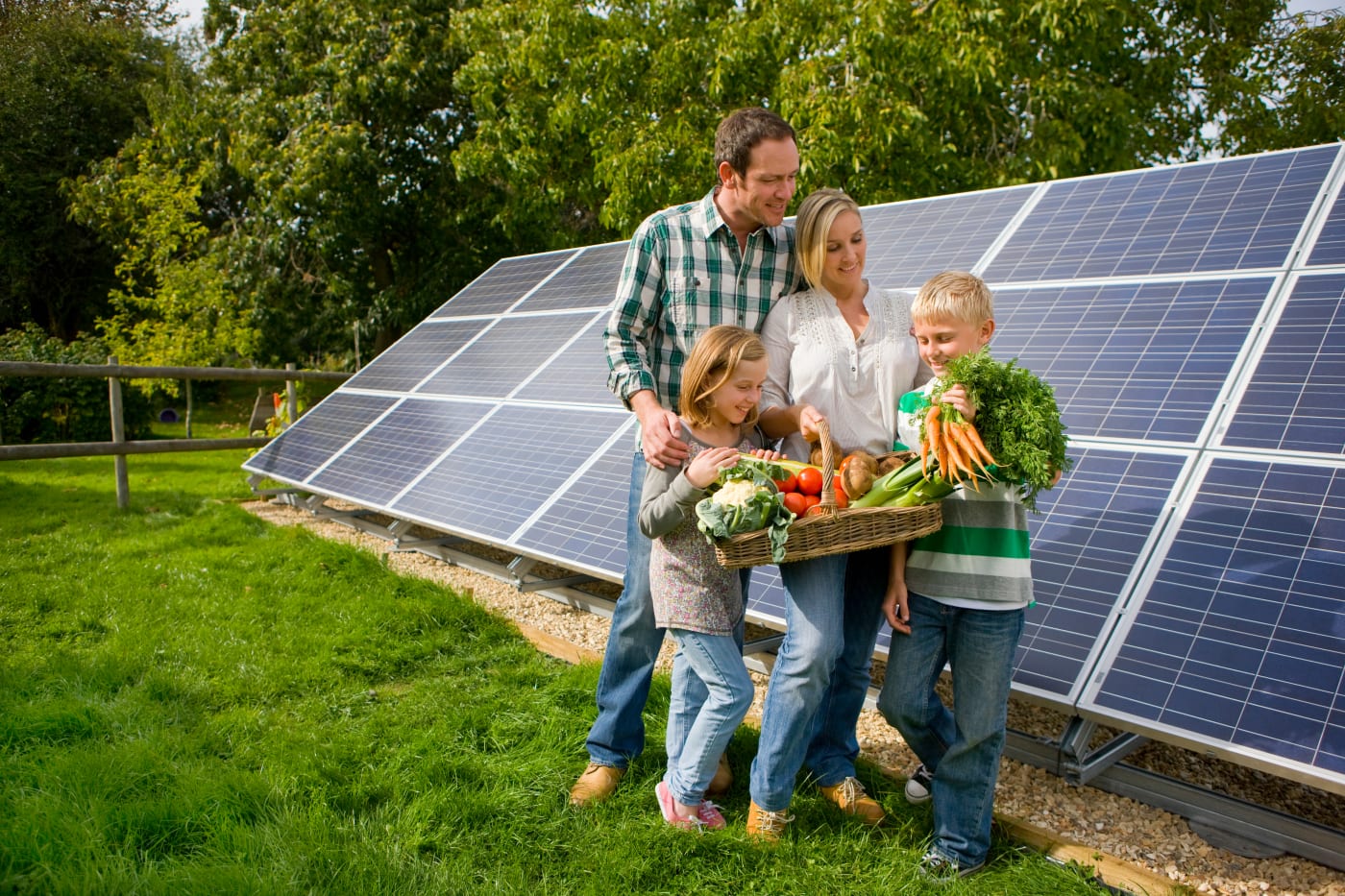 Family harvesting vegetables on their solar powered property.