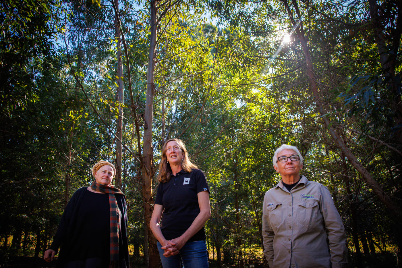 Hilary Herrmann, Tanya Pritchard and Linda Sparrow in the native forest Hilary planted on her property