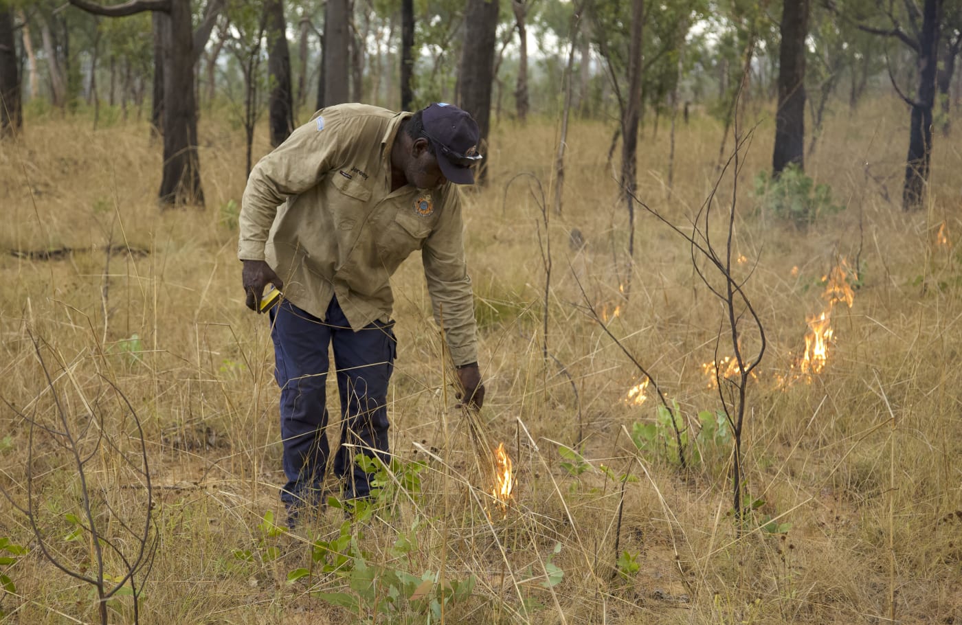 Uunguu Ranger Jeremy Kowan on Wunambal Gaambera fire walk