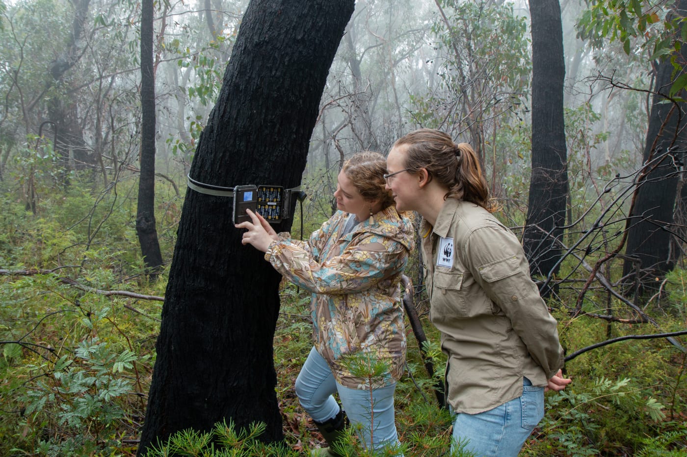 Melinda Kerr from the Blue Mountains World Heritage Institute (left) and Dr Emma Spencer from WWF-Australia (right) check a sensor camera in the Blue Mountains as part of the Eyes on Recovery project.