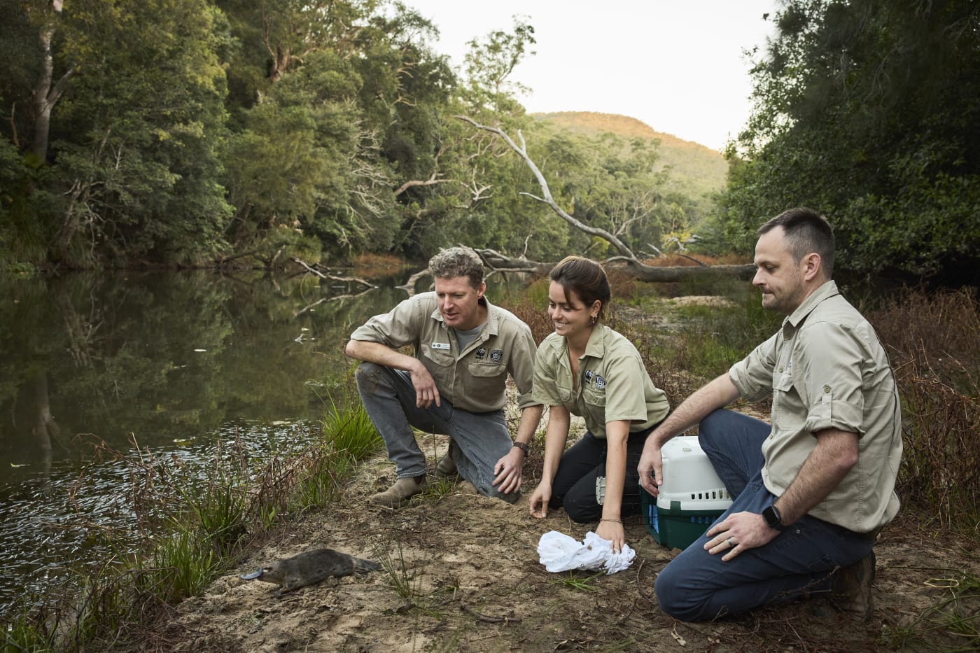 Rob Brewster, Fran Roncolato, and Patrick Giumelli from WWF-Australia release a platypus back into the Royal National Park