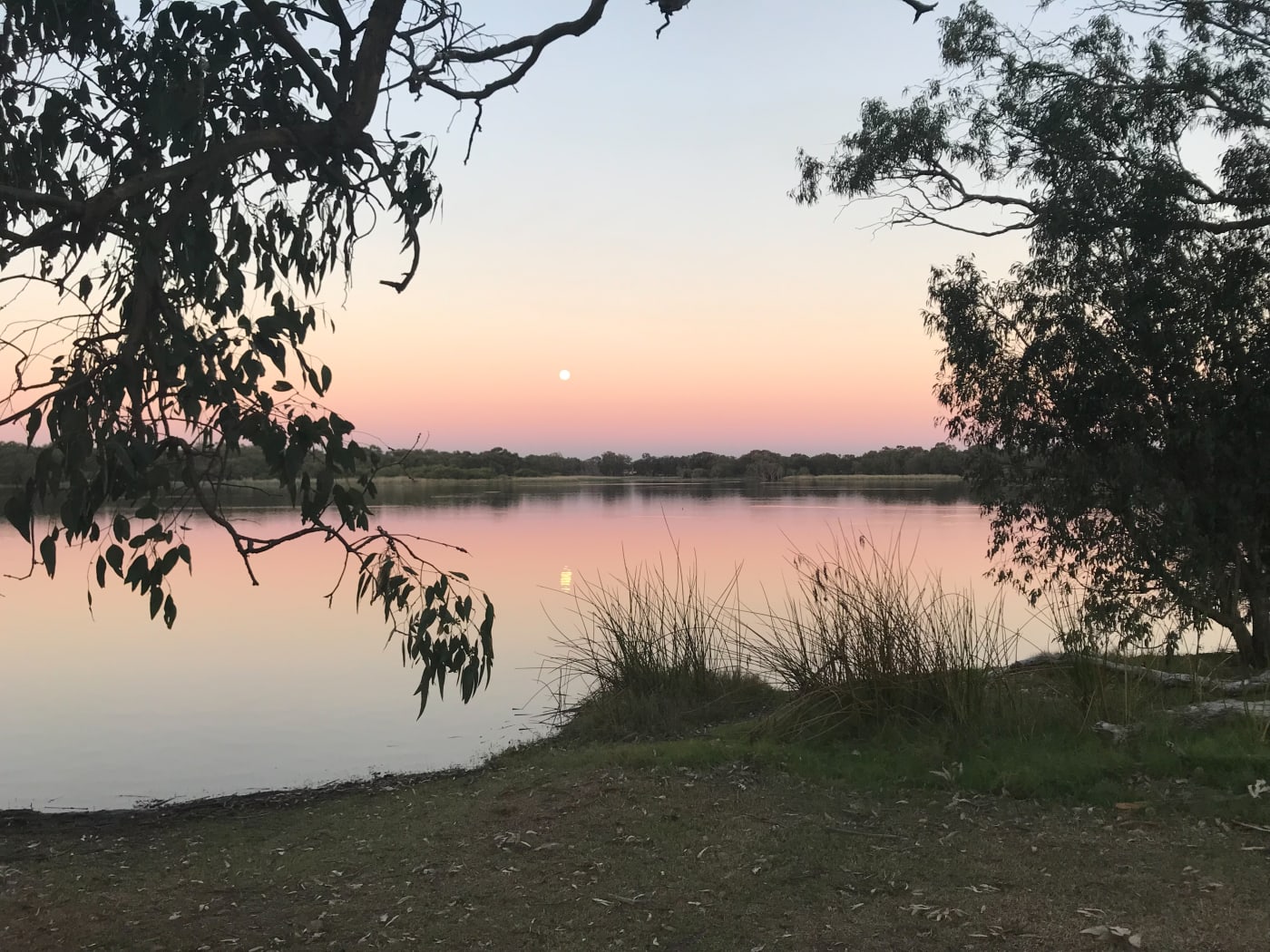 Sunset at Lake Gwelup Nature Reserve