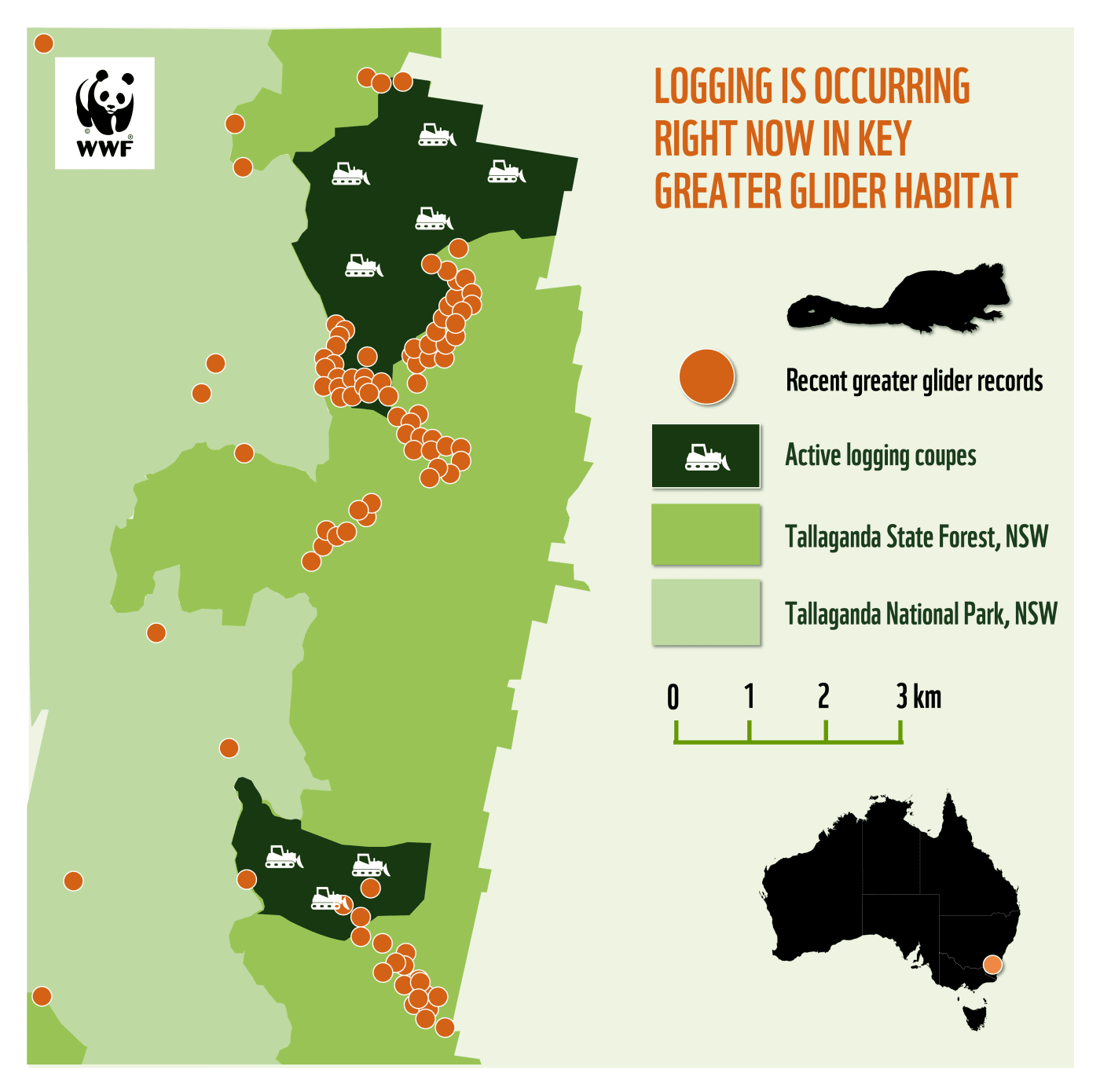 Help Save Greater Gliders in Tallaganda State Forest WWFAustralia Help Save Greater Gliders