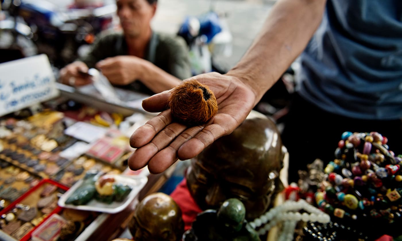 A tiger's testicle, of dubious authenticity, on sale at Tha Phra Chan market, Bangkok, Thailand