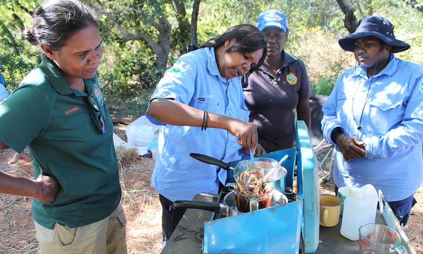 Women rangers transforming native plants into bush products
