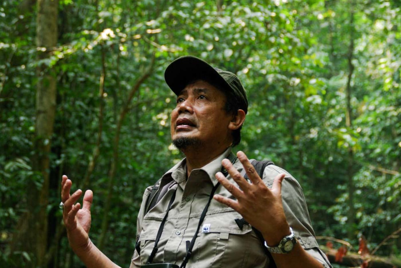 The head of WWF's orangutan program, Uyung, in a borneo forrest