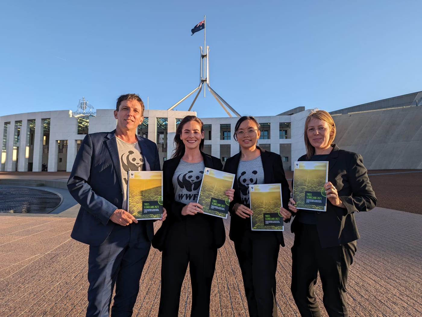 Here's How Your Donation Helped Australia Recover From The Bushfires ...