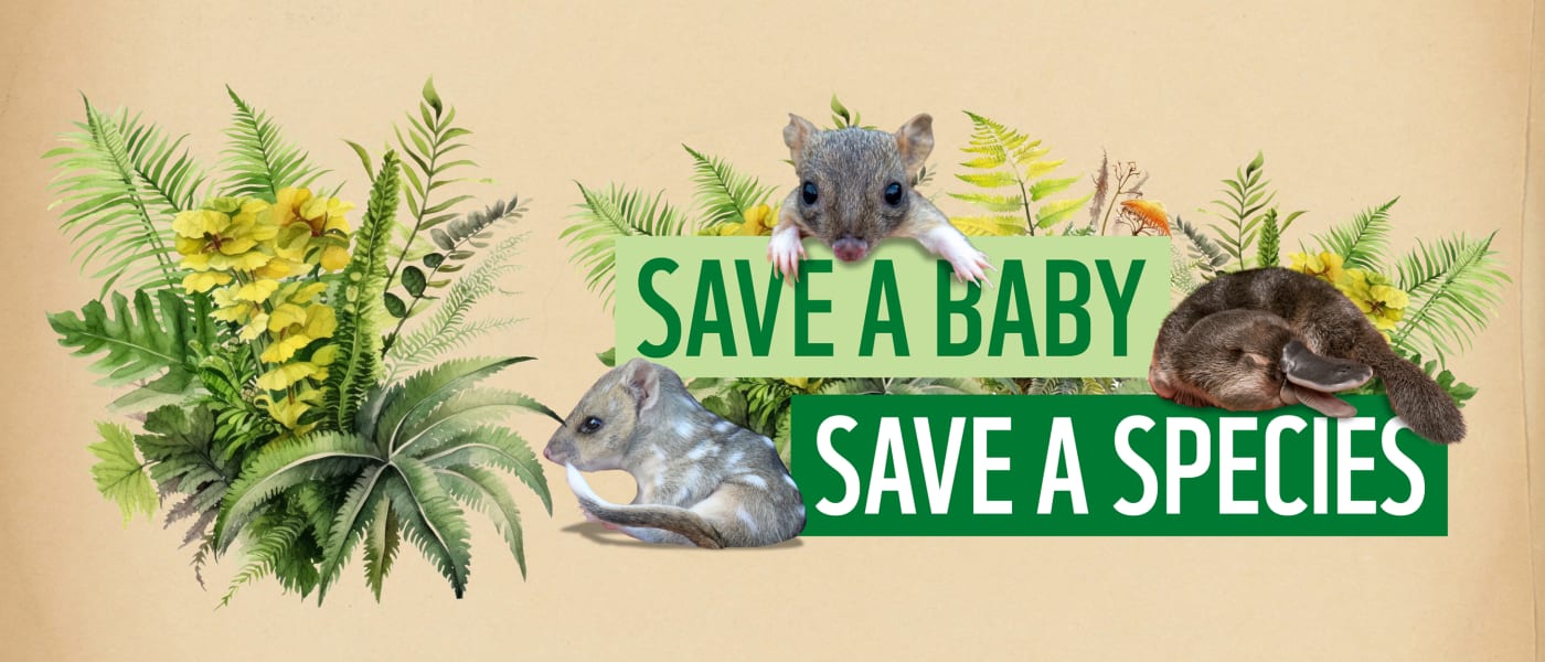 Save a baby, save a species banner
