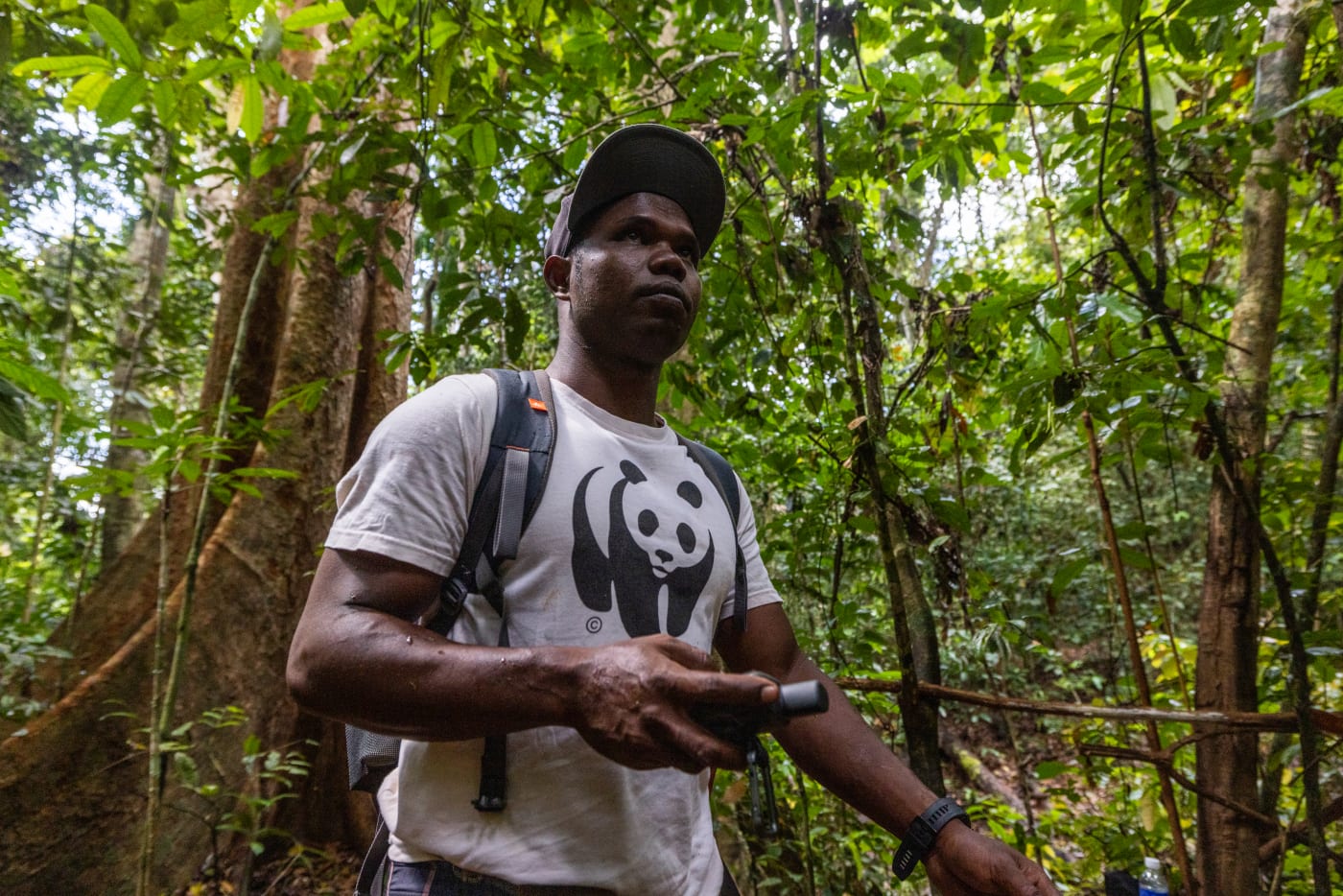 Merapi stands in a rainforest, holding a GPS device. He is wearing a cap and a WWF t-shirt.