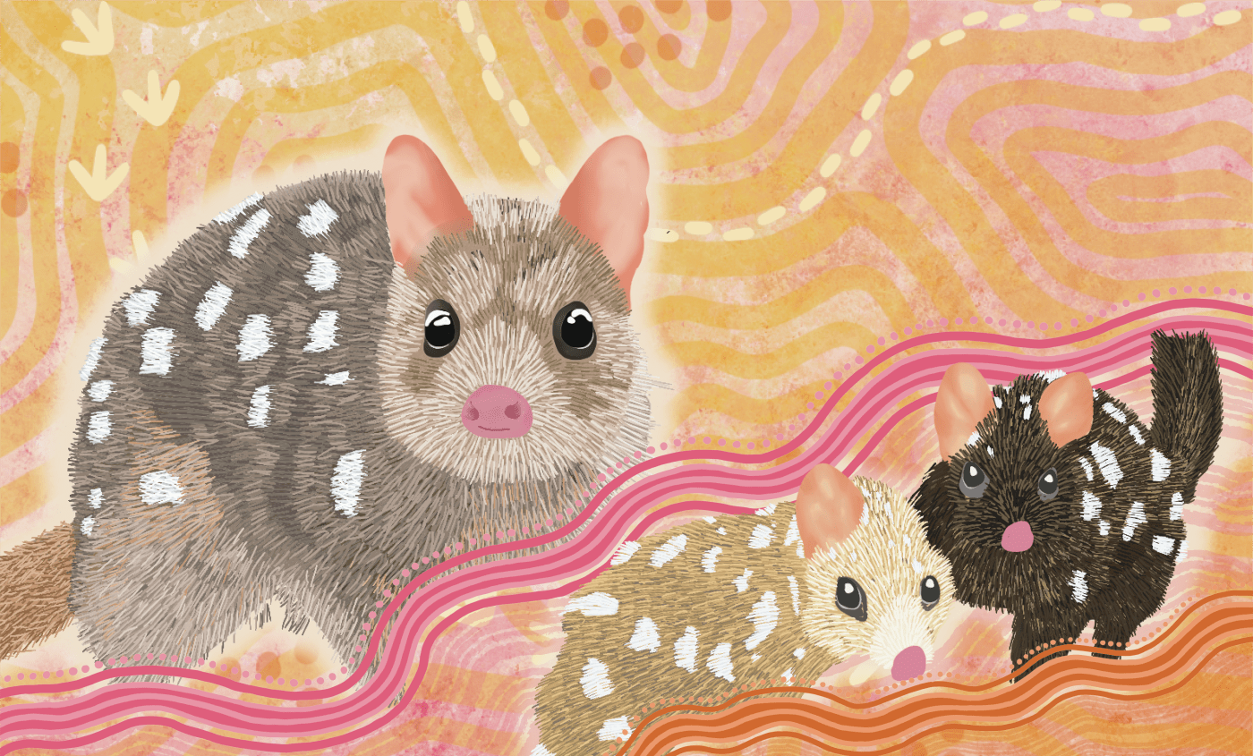 Indigenous Eastern Quoll art from Wiradjuri and Gundungurra artist Sarah Levett - Desktop Digital Wallpaper version
