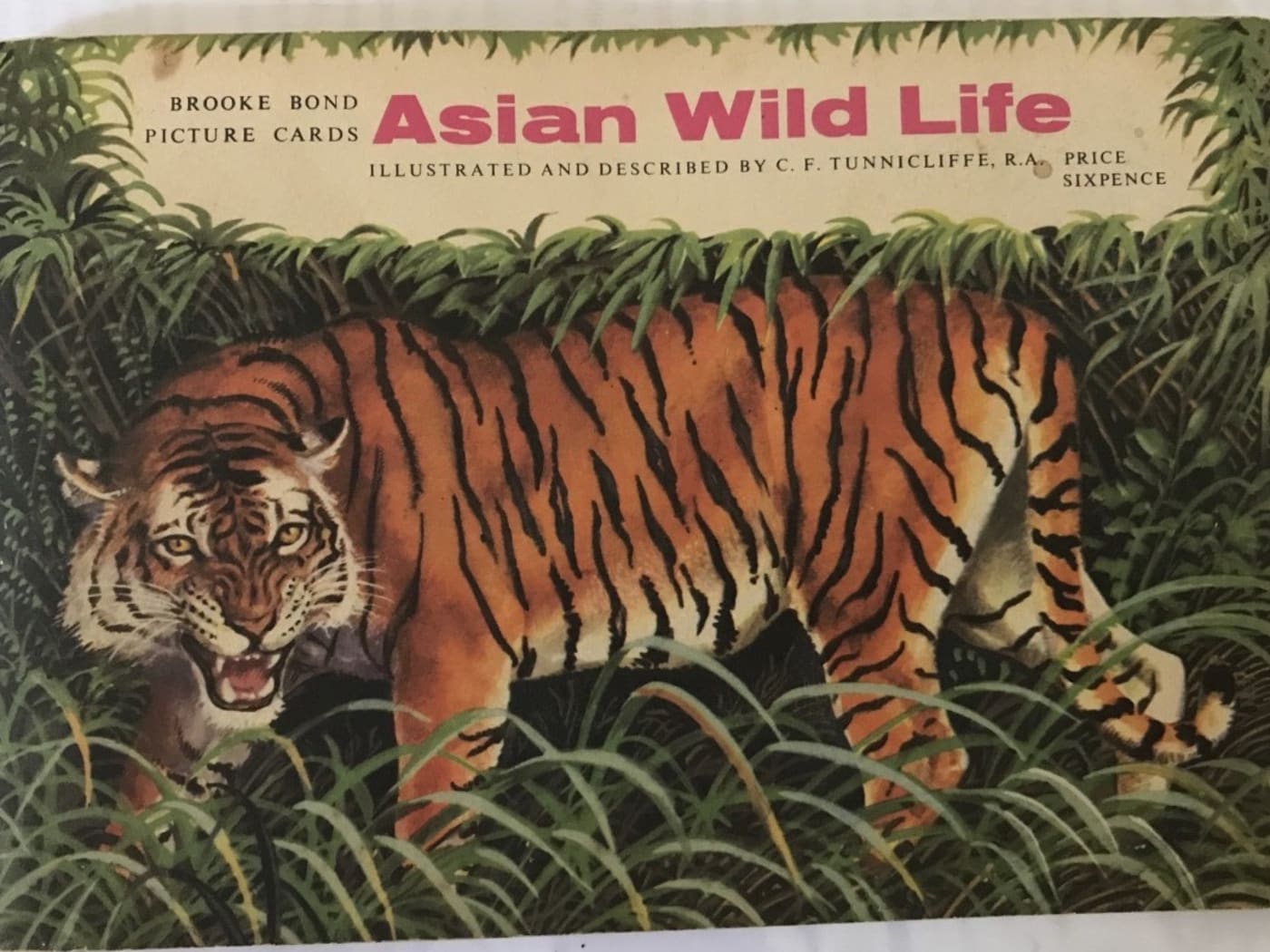 Asian Wildlife Tea Card Album