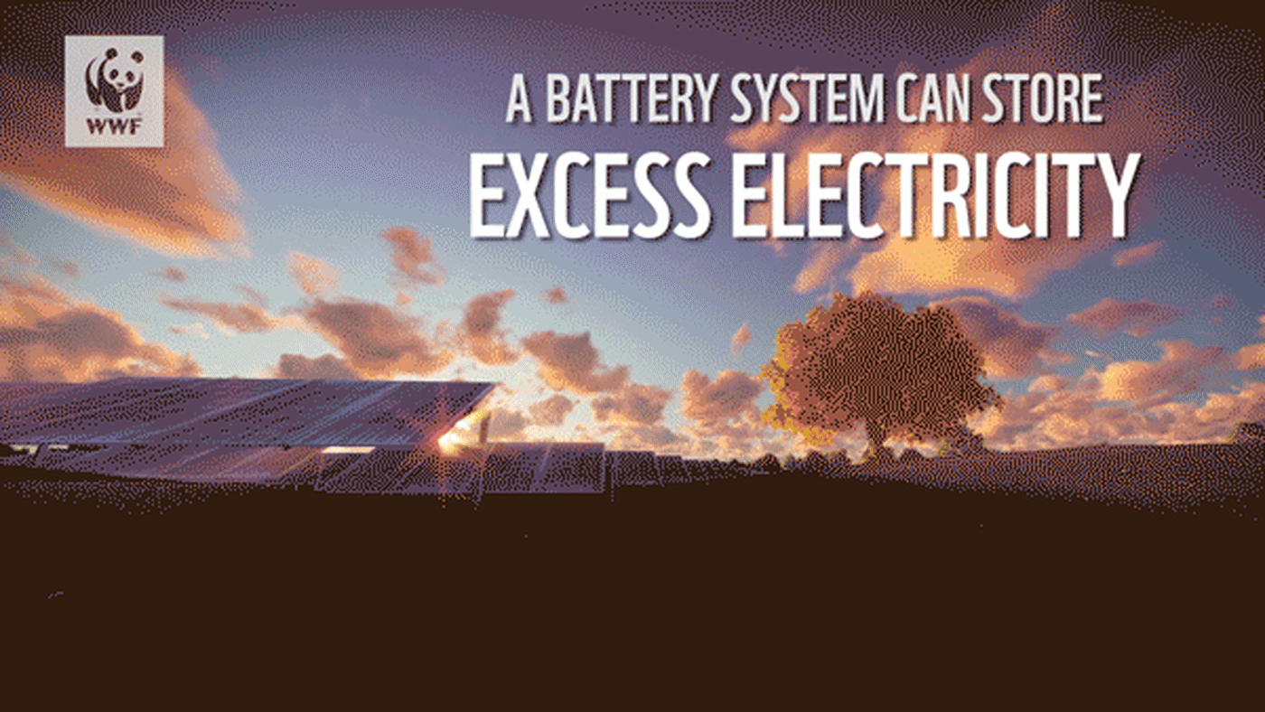 A battery system can store excess electricity