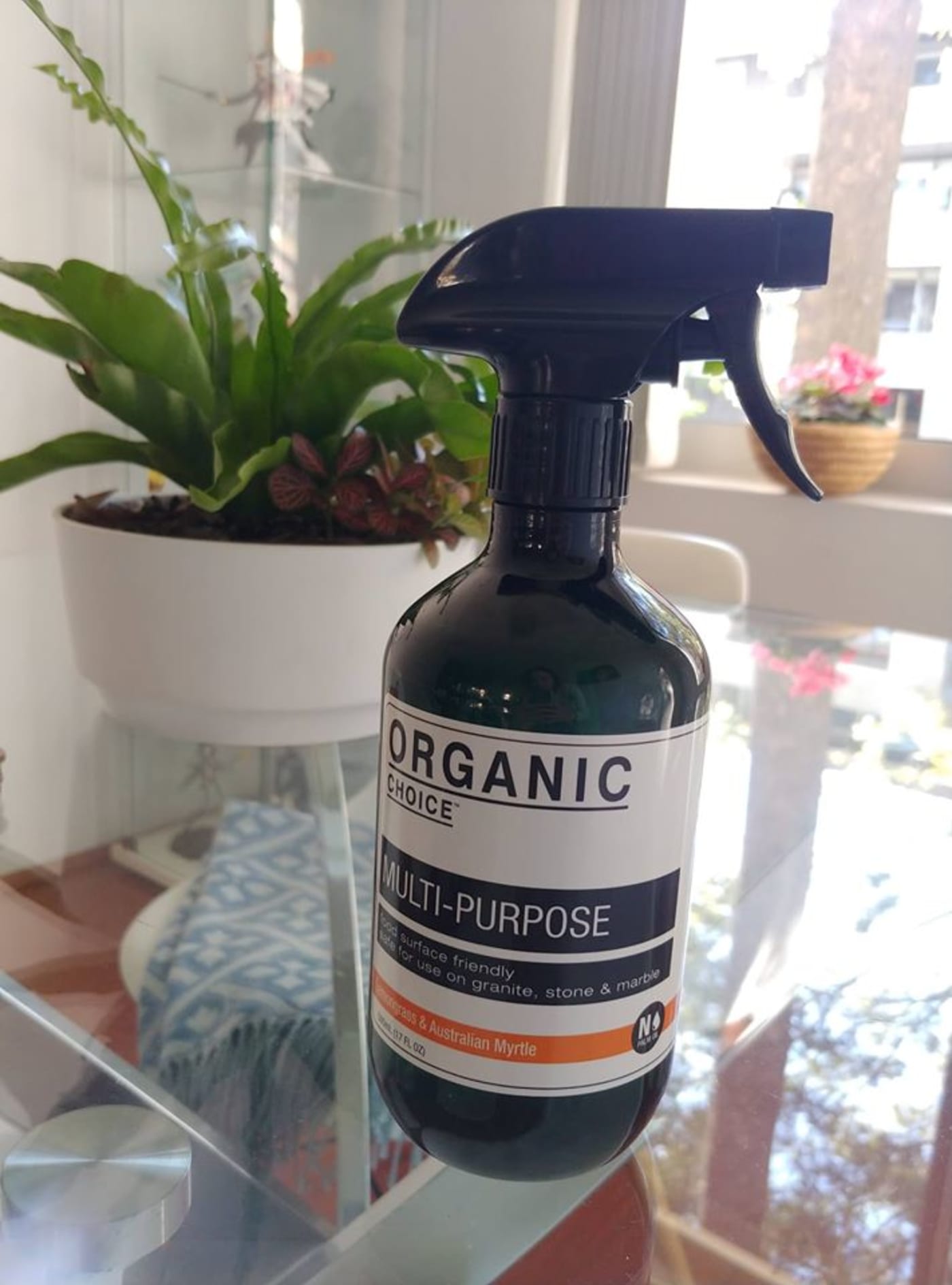 Plastic friendly cleaning products #PlasticFreeShop Challenge
