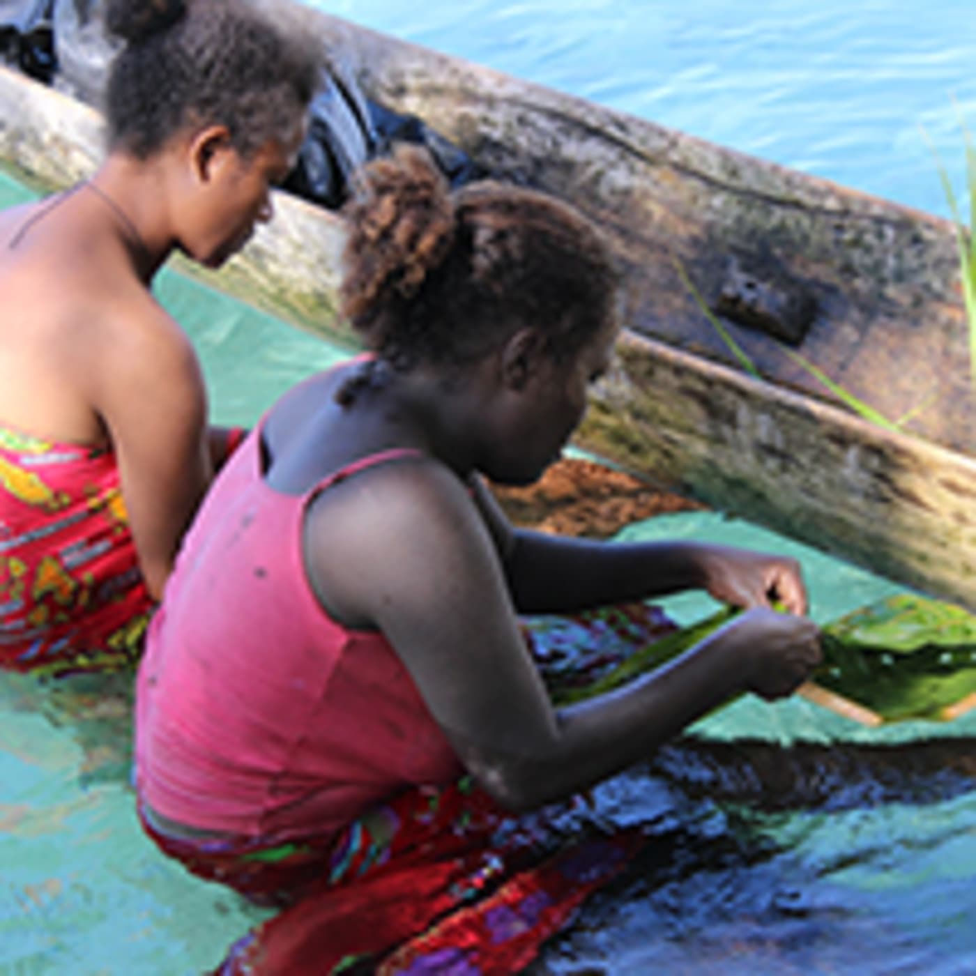 Collecting seaweed, Solomon Islands, IFADs trip, November 2013