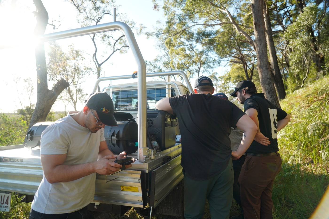 WWF-Australia, QYAC and Robotto conducting koala surveys with a thermal imaging drone on Minjerribah (North Stradbroke Island)