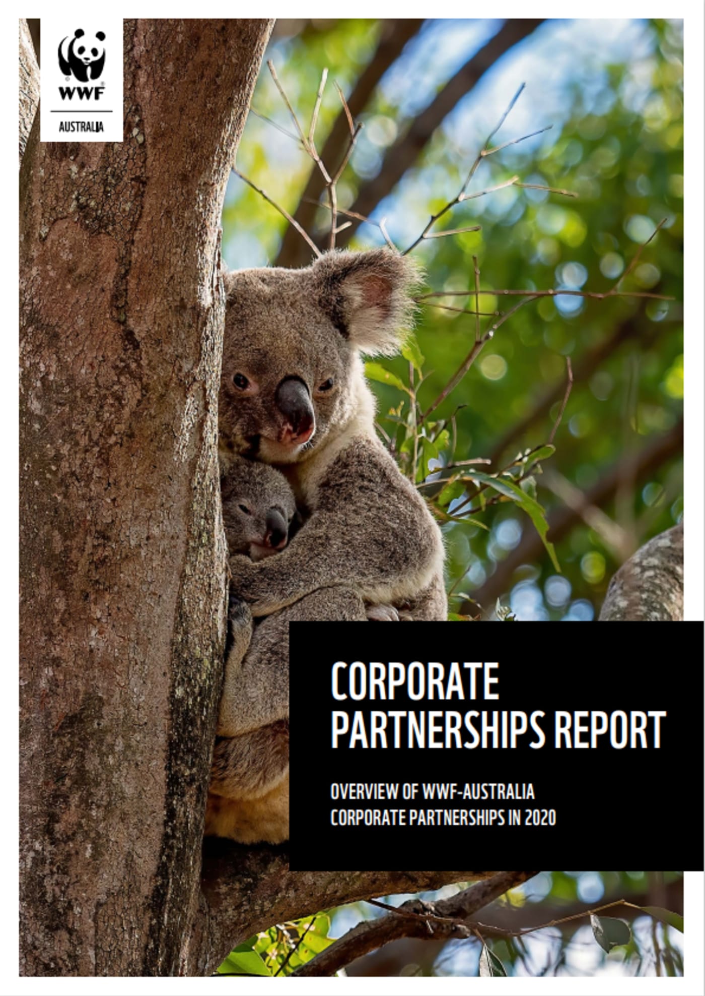 Corporate Partnerships Report 2020 cover