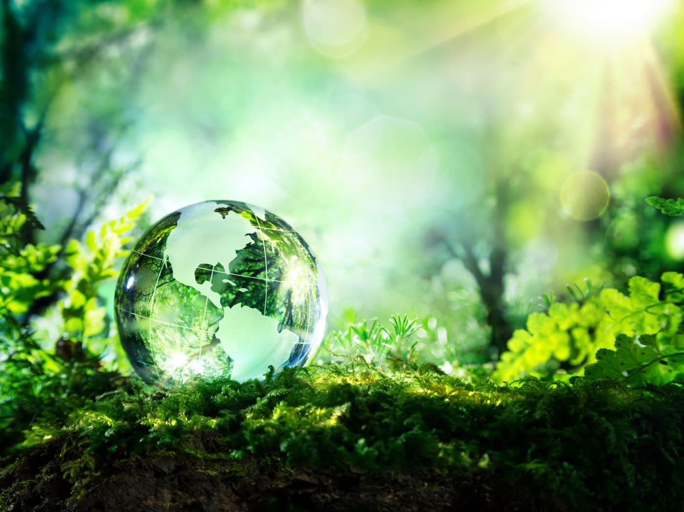 Crystal globe resting on moss in a forest - environment concept