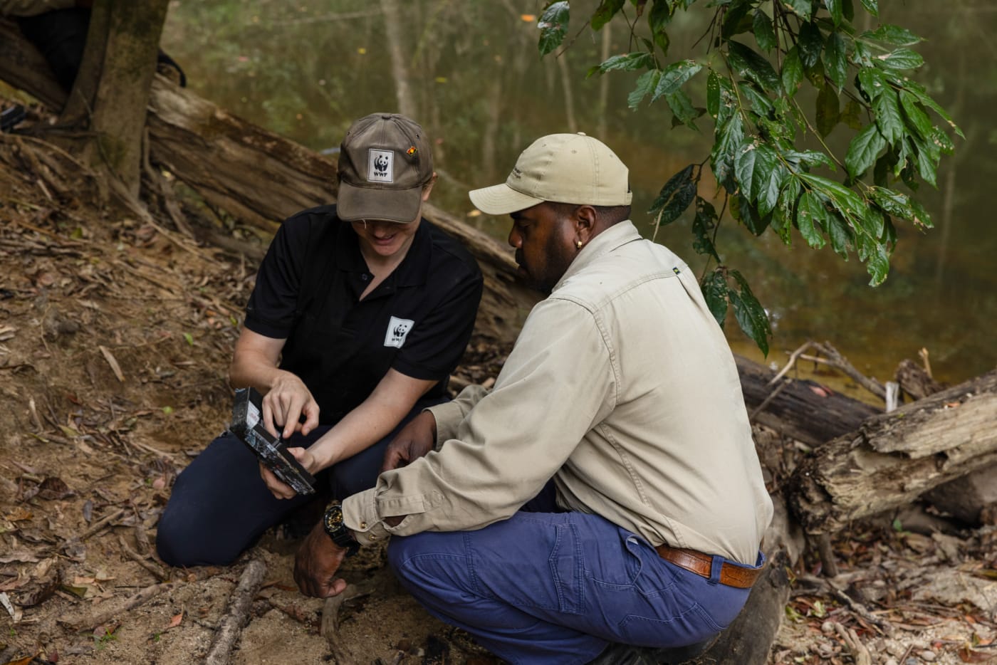 Emma Spencer and Dennis Hunter checking a trail camera. Djabugay Bulmba Rangers in Far North Queensland are celebrating after trail cameras detected platypus at three sites in Flaggy Creek and surrounding waterways north of Kuranda.