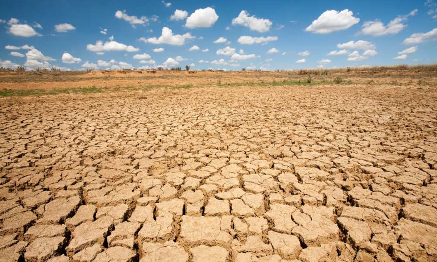 Impacts of global warming | WWF Australia