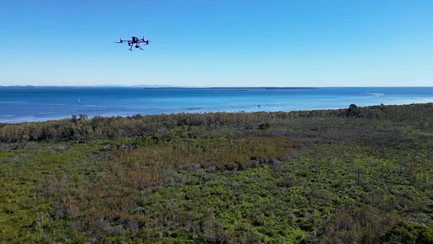 Drone survey at Flinders Swamp on Minjerribah (North Stradbroke Island)