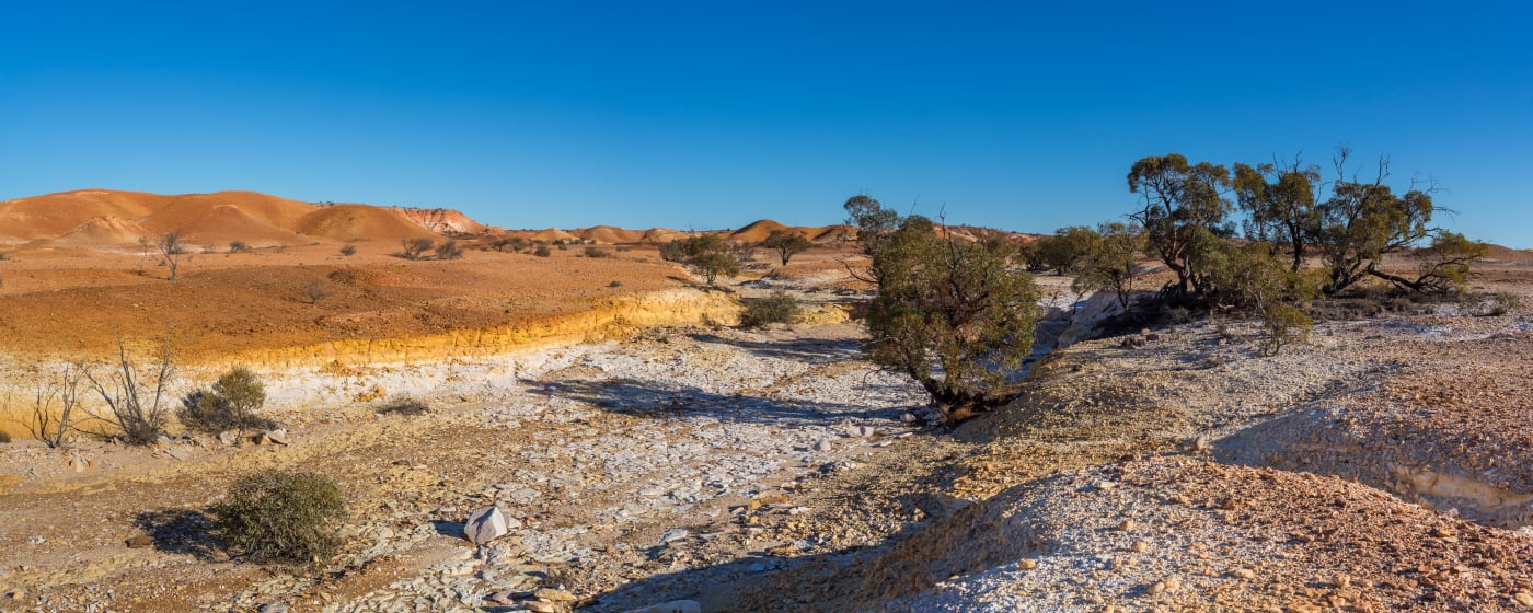 Dry creek bed with mallee trees and the Painted Hills in the background. South Australia, Australia