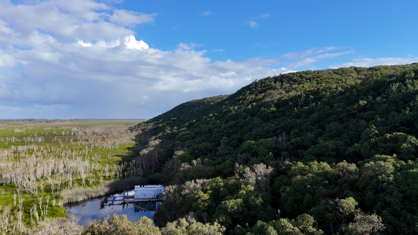 Eighteen Mile Swamp on Minjerribah (North Stradbroke Island)