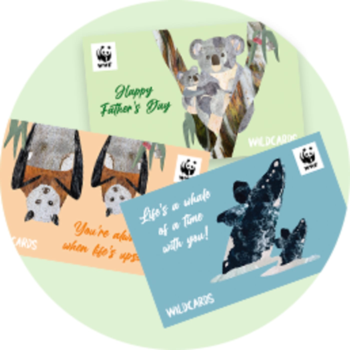 Illustration of three Wildcard designs for Father's Day