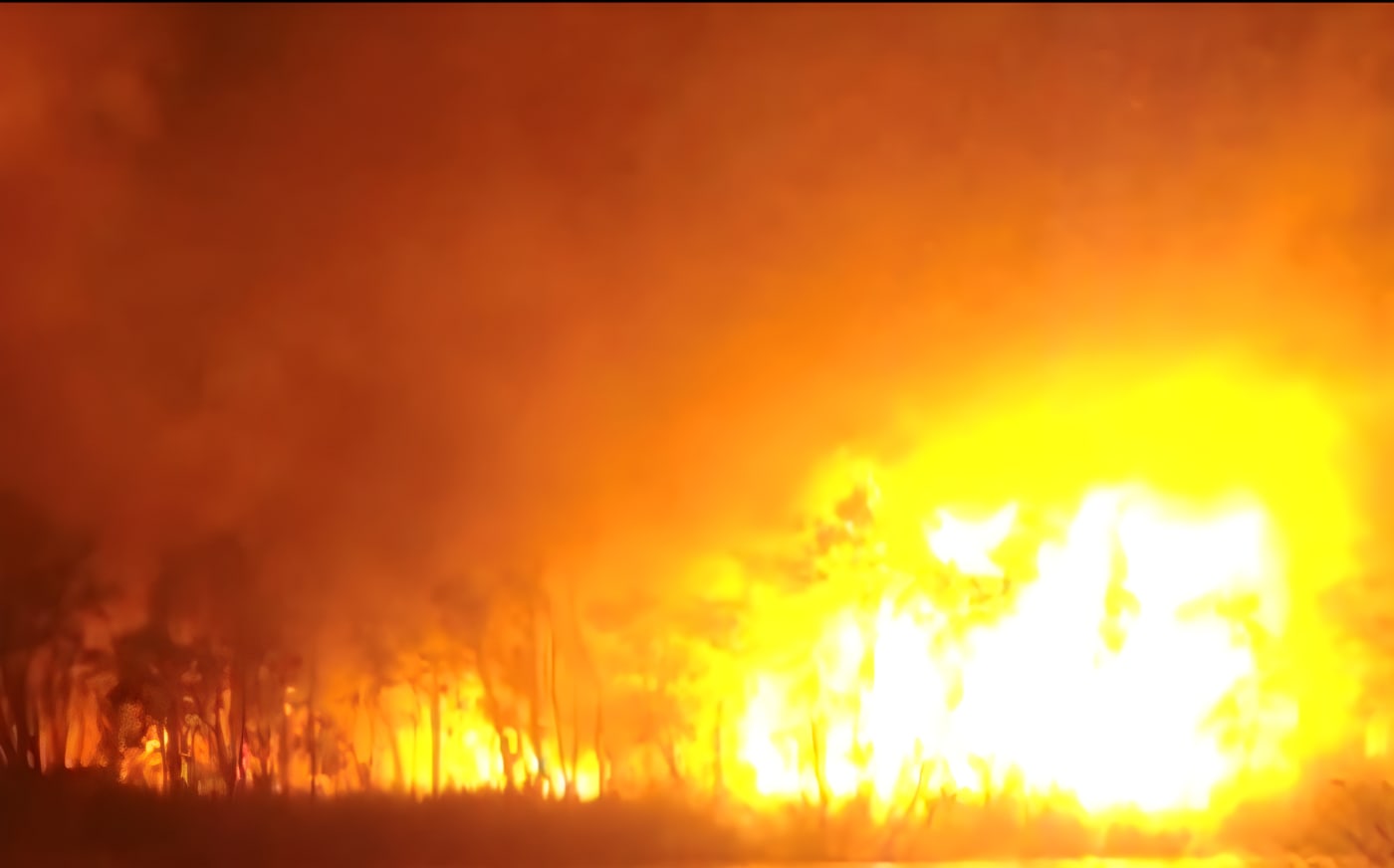 Fire at 18 Mile Swamp on Minjerribah (North Stradbroke Island) in  2014