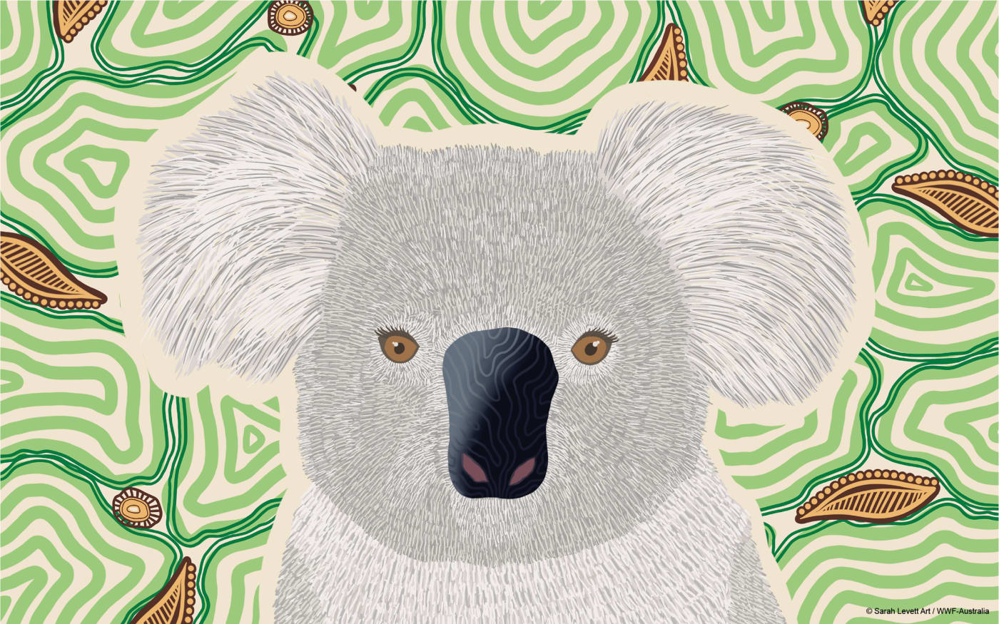 Indigenous koala art from Wiradjuri and Gundungurra Yinaa artist Sarah Levett - desktop wallpaper.