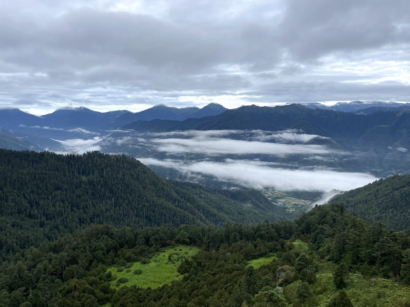 View of Chelela Pass, Bhutan.